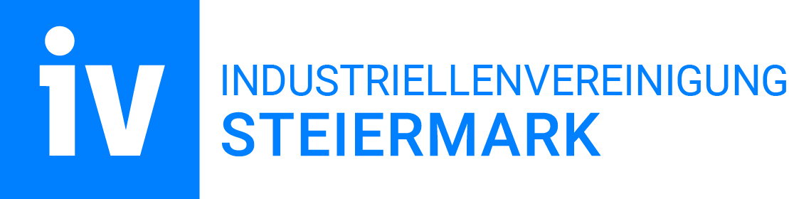 IV Steiermark Logo - Partner bits4kids